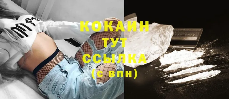 Cocaine FishScale  купить закладку  Алзамай 