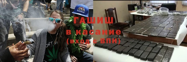 прущие грибы Белокуриха